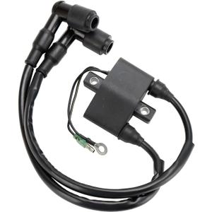 Ignition Coil fit for Mercury 15HP 18HP For Tohatsu 9.9HP 15HP 18HP 25HP 30HP For Nissan 9.9HP 15HP 25HP 30HP 3G2-06040 3M3-06048 803706A1 8M0047313