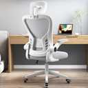 Ergonomic Office Chair, Headrest Desk ChairHome Office Swivel Task Chair with Adjustable Height, Lumbar Support and Backrest 90-120 Adjustable Computer Executive Desk ChairGrey