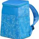 Igloo Lunch Box, Blue