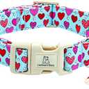 Lionheart glory Valentine Dog Collar-Red Hearts Cute Spring Dog Collar for Medium Dogs Female Male Adjustable Heavy-Duty Puppy Collars Holiday Pet Gift (Medium(Pack of 1))