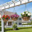 EIMQUVW Outdoor Metal Hanging Planters Basket (4pack, 14 inch) Hanging Baskets for Plants Chain Round Wire Plant Holder with Coco Fiber Liners for Garden, Patio, Deck, Porch (Flower Border)