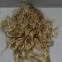 Curly Hair Extensions,LEOSA 4PCS 16 inch Clip in Hair Extensions Short Soft Natural Hairpiece Lace Weft Curly Wave Clip Ins Extensions Invisible for Women,Glden Light Blonde with Highlights