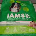 IAMS Proactive Health Adult Minichunks Premium Dry Dog Food, Adult Dog Food Dry Recipe, 30 lb. Bag (EXP 12/17/25)