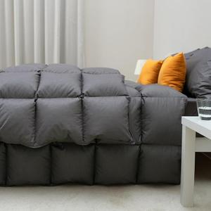 Bevink Feather Down Comforter Queen/Full Size, Luxurious All Seasons Duvet Insert Grey Lightweight,Ultra-Soft Down Proof Fabric,Medium Warm Quilted Bed Comforter with Loops (90x90in)