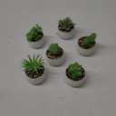 Der Rose Set of 6 Succulents Plants Artificial in Pots Small Fake Plants for Bedroom Aesthetic Living Room Shelf Bathroom Decor Office Desk Accessories (Green)
