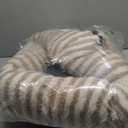 MIXJOY Dog Beds for Small Dogs Cats, Washable Dog Bed with Removable Cover, Soft Calming Cat Bed for Indoor Cats, Rectangle Pet Sofa Bed for Puppy Kitty, Anti-Slip Bottom,20"x19"x6", Beige