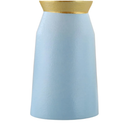 Lsbtaucp- Frosted Gold Border Ceramic vase, Simple Home Decoration, Suitable for Various Festivals, Good Shooting Props, a Good Choice of Gifts. (Light Blue)