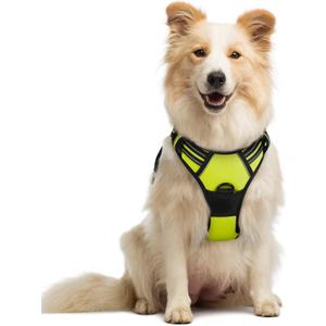 rabbitgoo Dog Harness No Pull with 2 Leash Clips, Adjustable Soft Padded, Reflective Oxford No Choke Pet Vest with Easy Control Handle for Medium Sized Dogs, Green, M