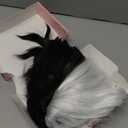 Tereshar Half Black and White Wig with Accessories 5pcs Set for Women Costume Short Curly Wig with Bangs Halloween Cosplay Party Wig  