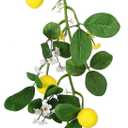 Artificial Lemon Garland, 65cm Summer Lemon Garland with Greenery and Fake Lemons, Summer Lemon Decor Lemon Decorations for Kitchen Mantle Bridal Shower Indoor Outdoor Home Decorations