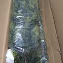 Pack of 2 5ft Artificial Cedar Topiary Trees, Outdoor Artificial Plants for Front Porch Decor, Artificial Shrubs Fake Plants Uv Rated Potted Plants for Outdoor, Indoor, Front Door, Office.