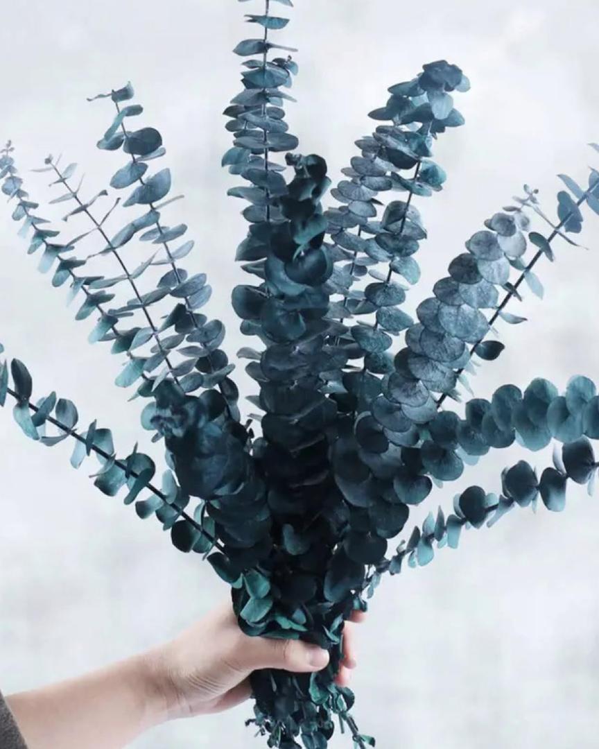 10 PCS Preserved Eucalyptus Stems, 12 Inches Natural Artificial Flower Bouquet for Home Decor/Floral Arrangements/Weddings/Spa Showers, Artificial Eucalyptus, Blue