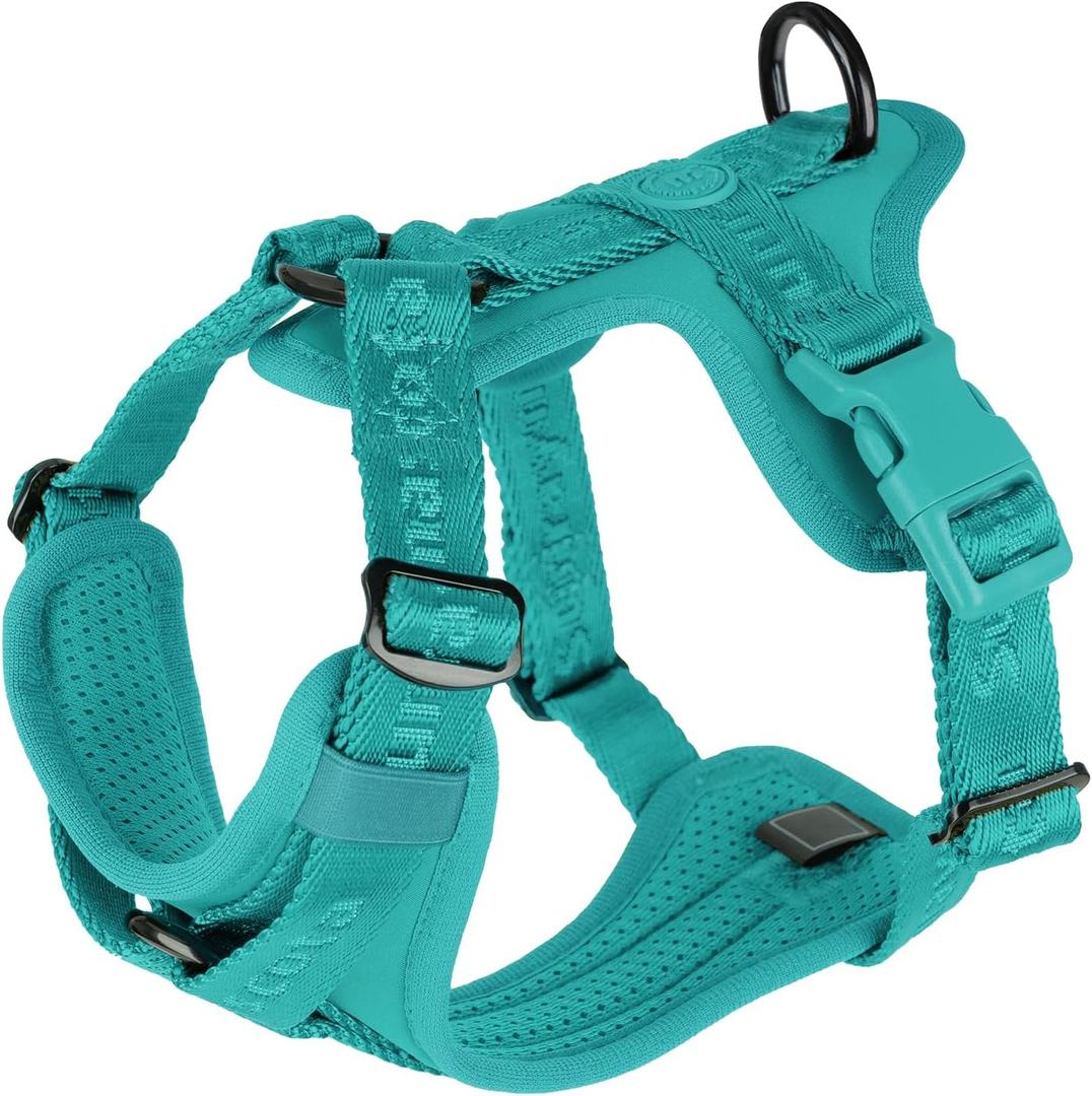 No Pull Dog Harness with Lycra, Three-Point Force Dispersion & 3D Padding, Adjustable Breathable Mesh for Dogs (MARRS Green,XS)