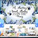 Berry Baby Shower Decorations, A Berry Sweet Baby Is on The Way Decoration Blueberry Backdrop Banner Background Prop Cake Cupcake Topper Balloon for Fruit Berry Sweet Baby Shower Decoration