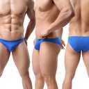 WINDAY Men Briefs Breathable Ice Silk Triangle Bikinis and Briefs D318 (XXXL)