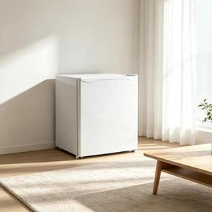 Mini Fridge for Compact Spaces Energy-Efficient
Plastic and steel construction, 5 temperature levels, removable shelf, reversible door 20x19.5x19.5