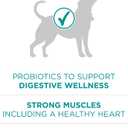Purina One Plus Digestive Health Formula Dry Dog Food Natural with Added Vitamins, Minerals and Nutrients - 31.1 Lb. Bag (EXP 12/16/27)