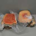 Juexica 6 Pcs Decorative Soft Round Throw Pillow Circle Seating Tree Stump Pillow 3D Digital Print Stump Cushion Flexible Seating Floor Cushion Natural Wood Forest Decor for Classroom Home Couch