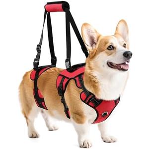 NOYAL Dog Lift Harness for Senior & Injured Pets – Full-Body Support Sling with Breathable Mesh, Front/Rear Leg Assist for Arthritis, Hip Dysplasia & Post-Surgery Recovery (Medium-Large Breeds)