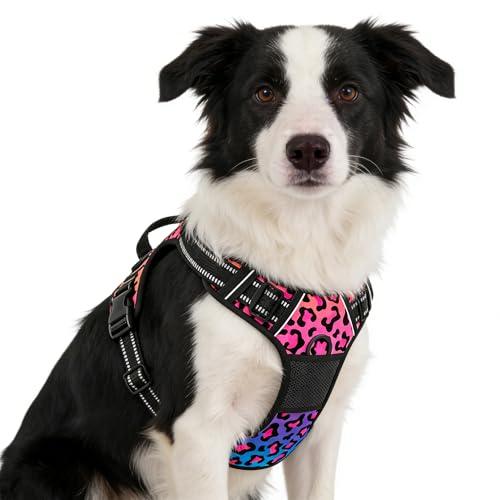 Rnivvi No Pull Dog Harness, Cute Leopard Reflective Medium Sized Puppy Kitten Harness, Adjustable Soft Padded Vest for Medium Dogs, Heavy Duty Pet Vest with Easy Control Handle for Walking, Neon