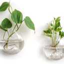 Mkono Wall Hanging Glass Terrariums Planter Oblate Flower Vase for Hydroponics Plants, Bathroom, Home Office Living Room Decor, Set of 2