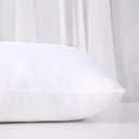 Acanva Fluffy Pillow Insert for Bed Sleeping, Decorative Stuffer Cushion Sham Filler, Standard 20x26 (Pack of 1), White