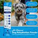 Replenish Dog Recovery Water Supplement  Pedialyte for Dogs Hydration Drink & Water Additive - Electrolytes for Dogs Hydration Supplement  10 Packets Count