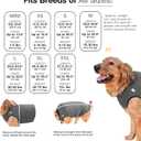 BellyGuard Dog Surgery Recovery Suit, Dog Onesie for Post-Op Care, Recovery Apparel for Female and Male, Surgical Body Cover for Canine Healing Support
