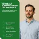 Ashwagandha Complex 800mg with GABA, L-Theanine & B6  Adaptogenic Support for Calm, Focus & Mood  60 Capsules  Stronger Than 600mg - Non-GMO, Gluten-Free (60 Count (Pack of 1))