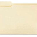 File Folders - Letter Size (100 Pack)