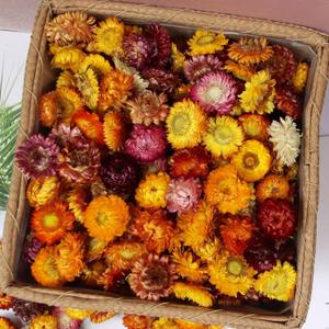 Natural Dried Flowers for Crafts, Mixed Daisies & Sunflower Heads, Chrysanthemum Petals for Candle Making, Wreaths, Wedding Decor, DIY Crafts (100-120)