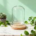 2 Pcs 5.9 x 8.46 Inch Glass Terrarium with Airhole and Base Clear Glass Dome Planter Display Container Plants Not Included for Office Desk, Balcony, Coffee Table