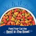 Purina Friskies Dry Cat Food Seafood Sensations With Salmon, Tuna, and Shrimp Flavors - 22 lb. Bag (EXP DEC312027)