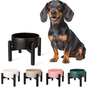 Raised Ceramic Dog Bowl - Elevated Food Water Dish with Stainless Steel Stand - for Small to Medium Dogs - 6 Inch - 2 Cups (28.75 fl oz) - Black, Medum 