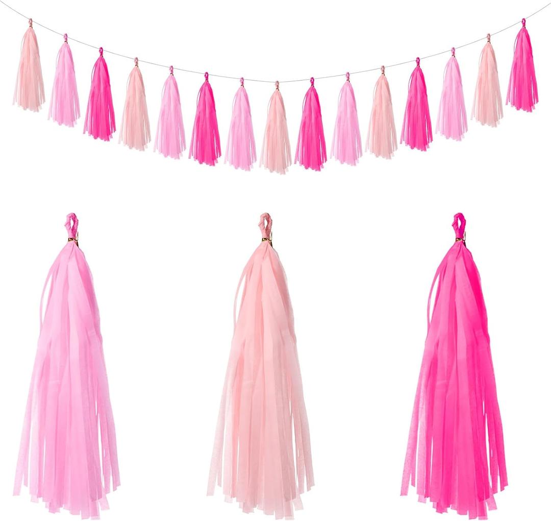 QFGasre 15pcs Hot Pink Light Pink Tissue Paper Tassel Garland Tissue Tassel Banners for Teachers Students Party Decorations DIY Kits Birthday Wedding Bridal Shower