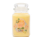 Yankee Candle Lemon Gelato