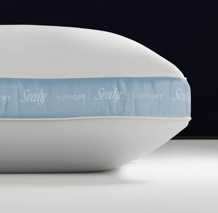 Sealy Dreamlife 1 Extra Firm Support Foam Core Pillow, King