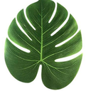 OurWarm 3pcs Large Artificial Tropical Palm Leaves, Faux Safari Leaves Monstera Fake Leaves, Hawaiian Luau Party Jungle Beach Theme Decorations for Birthday Party Safari Table Decorations Supplies
