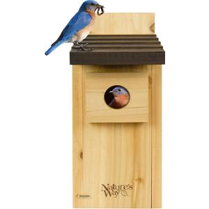 Natures Way Cedar Bluebird & Cavity Nesting House, Predator Guard, Ventilated Design & Easy Access Clean-Out Panel, Natural Wood