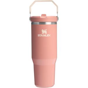 Stanley IceFlow 2.0 Flip Straw Tumbler with Handle 30 oz | Twist On Lid and Flip Up Straw | Leak Resistant Water Bottle | Insulated Stainless Steel | BPA-Free | Exclusive Sienna