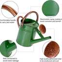 1 Gallon Metal Watering Can with Removable Spout, Nice Galvanized Steel Water Can for Indoor and Outdoor Plants (House Plants)
