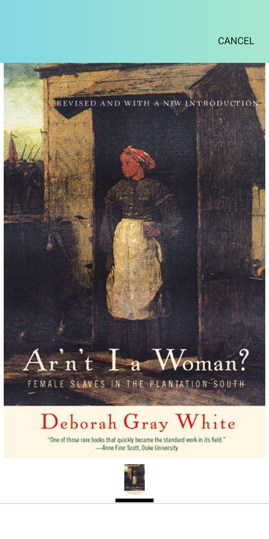 Ar'n't I a Woman?: Female Slaves in the Plantation South