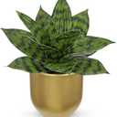 Hollyone Artificial Snake Plants 9" Faux Agave Succulent Plant Potted in Gold Pot Fake Sansevieria Aloe Tropical Plant for Desk Modern Office Home Bathroom Indoor Outdoor Decor