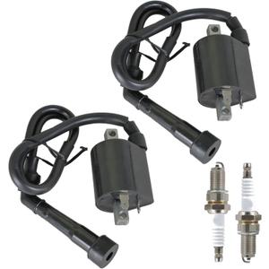 WFLNHB 2PC Ignition Coil Spark Plugs Replacement for Yamaha VIRAGO 535 XV535 1987-2000