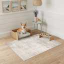 HAOYUNLAI 2x3 Entryway Area Rug: Washable Kitchen Bedroom Carpet Soft Abstract Laundry Bathroom Rugs with Non-Slip Backing Easy-Clean Distressed Home Decor Floor Mat for Pets Family (2x3,Beige/Cream)