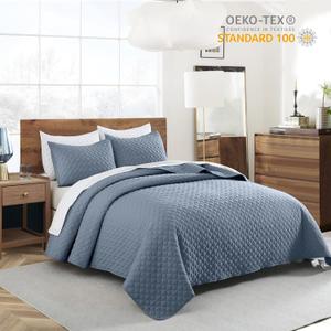 Quilt Queen Size Dusty Blue, Lightweight Quilt for Summer Ultra-Soft Microfiber Modern Style Quilted Clouds Pattern Bedspread Quit (Full/Queen(90" x 96"))