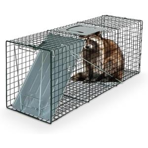 Humane Way Sentinel 32 Inch Live Animal Trap - No Assembly Required - Safe Medium Traps for All Animals - Raccoons, Cats, Groundhogs, Opossums - 32" L x 10.5" W x 12.5" H