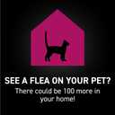 NEXTSTAR Flea and Tick Prevention for Cats, Repellent and Control, Fast Acting Waterproof Topical Drops, Flea Prevention for Cats Over 3.5 lbs, 1 Month Dose