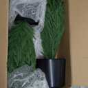 Palonu 2 Pcs 2Ft Christmas Norfolk Pine Potted Trees, 24" Realistic Artificial Norfolk Tree with Pot Faux Greenery UV Resistant Fake Plants for Tabletop Front Porch Indoor Outdoor Home Dcor