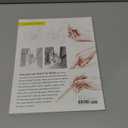 Basics of Drawing: The Ultimate Guide for Beginners